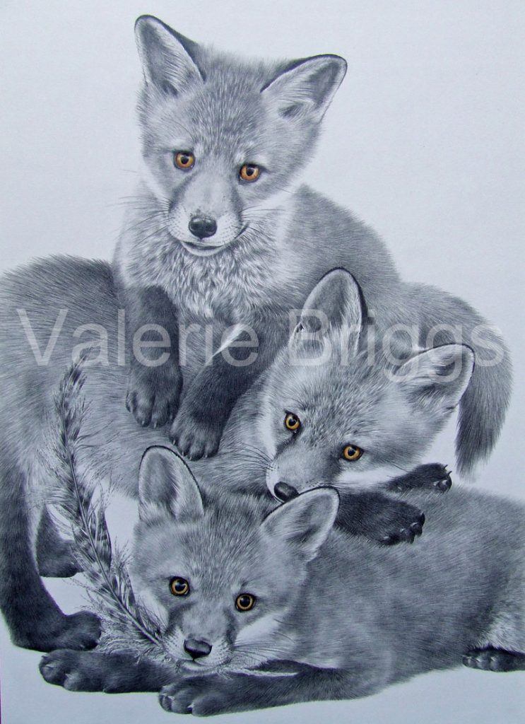 Playtime Graphite & coloured pencils Donation to the Vale Wildlife Hospital