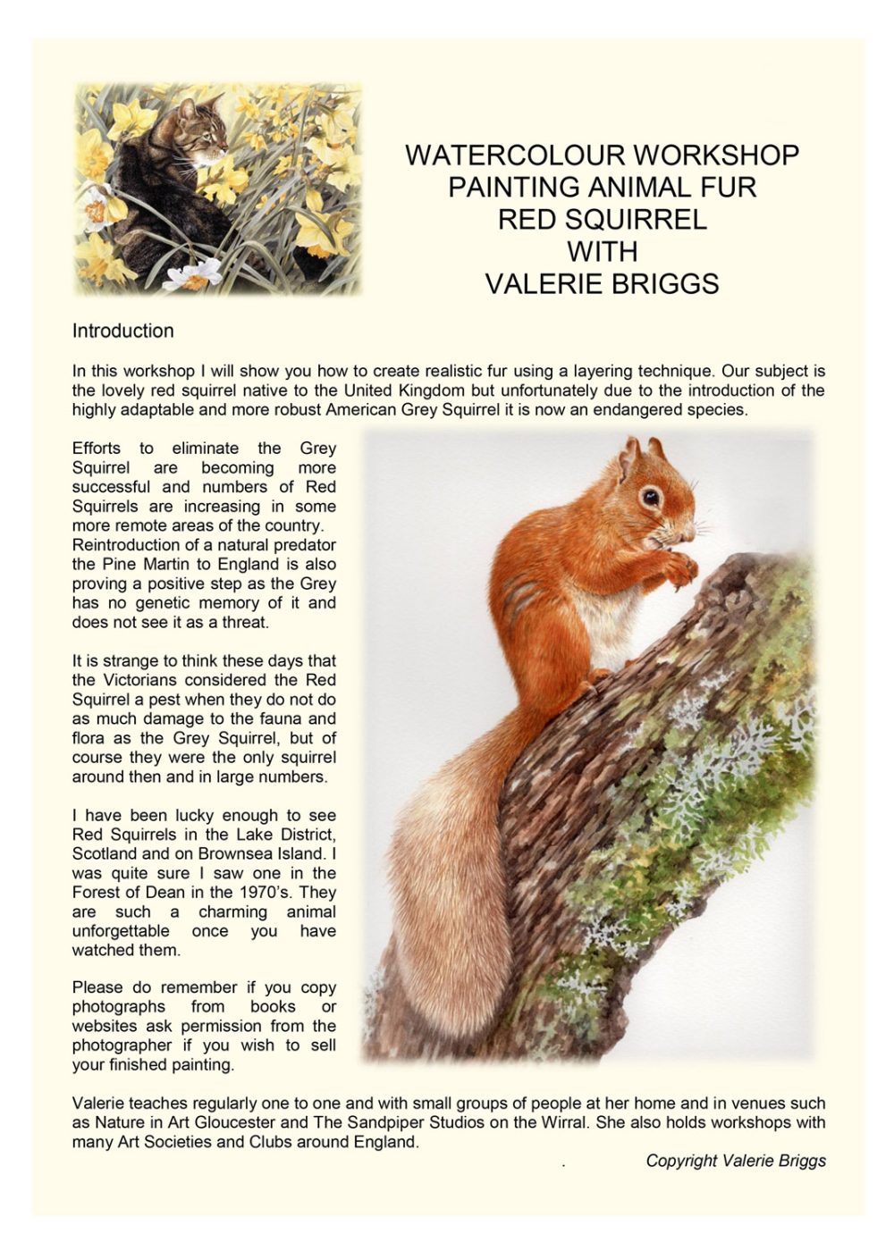 Red Squirrel Workshop leaflet-1 .jpg