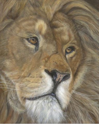 Association of Animal Artist Autumn Exhibition at Weston Park Shropshire 29th October to 30th November