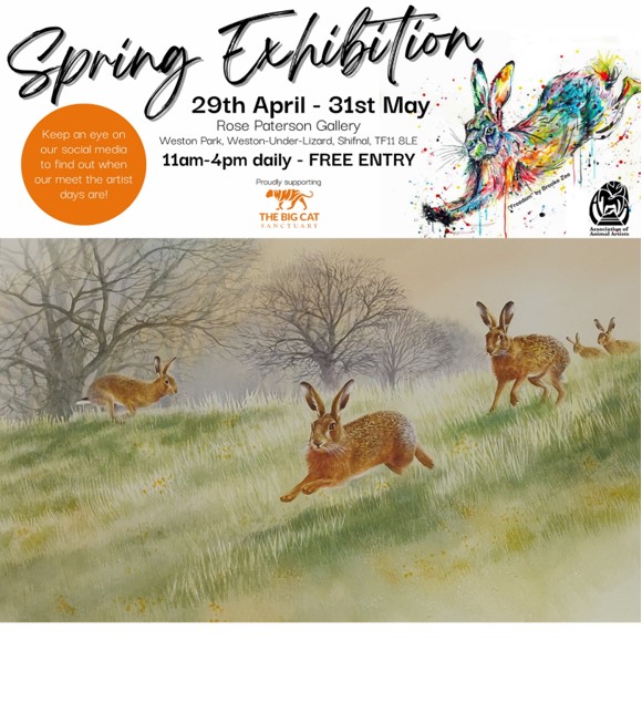 Valerie Briggs Spring Exhibition at Rose Paterson Gallery - 29th April - 31st May 2023