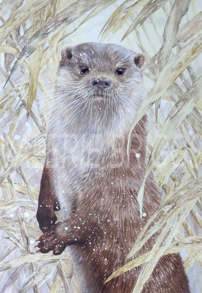 Winter in the reeds 2 by Valerie Briggs Watercolour mounted 68 x 52 cms Framed 72 x 56 cms