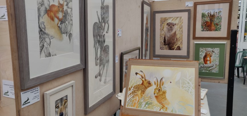 The-Exhibition-of-Wildlife-Art-on-the-Wirral-Valerie-Briggs-Display