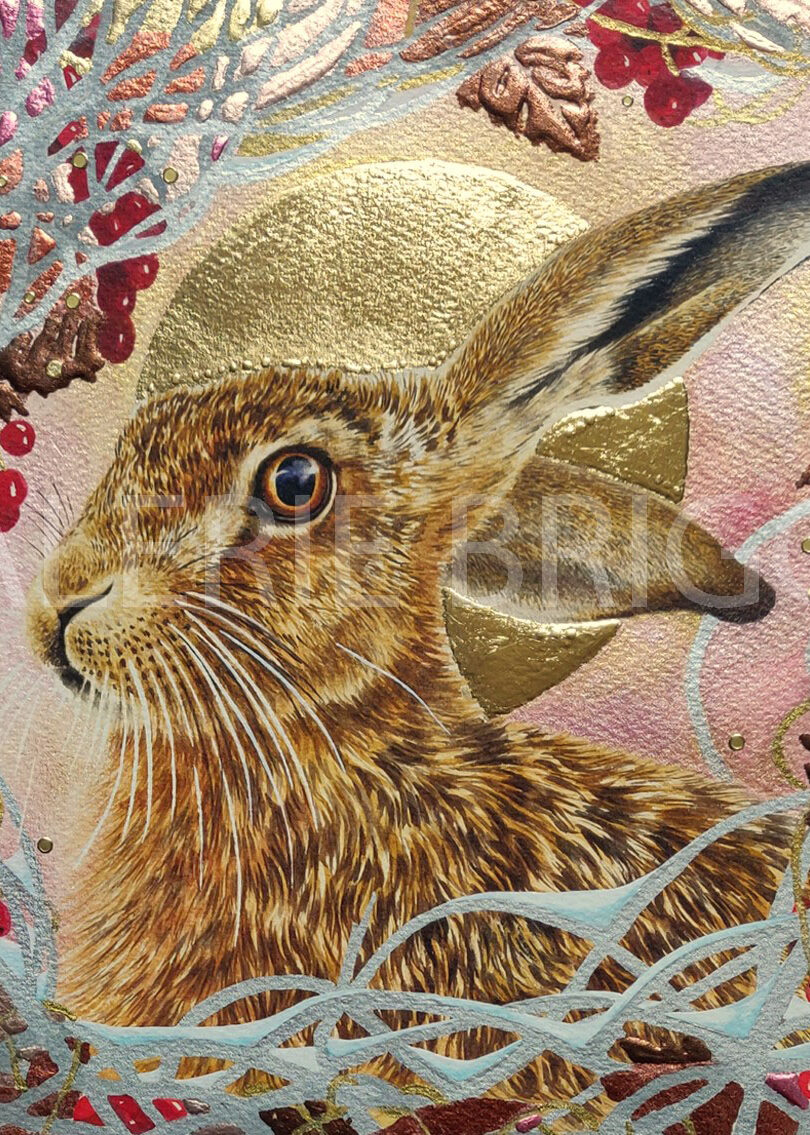 2024 Embellished Winter Hare 2024 Embellished Spring Hare Watercolour 250 x 250